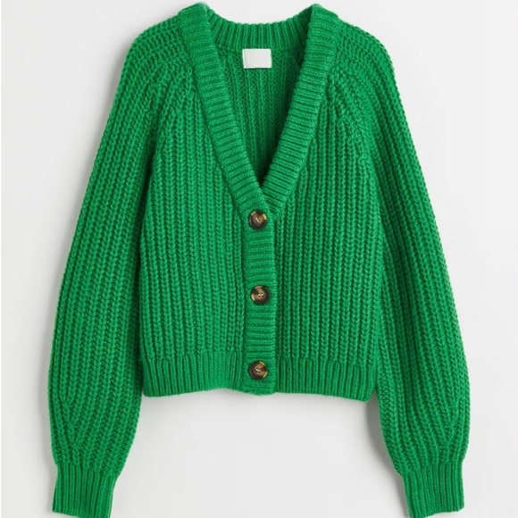 H&M Green Fall Sweater Cardigan - Picture 1 of 4